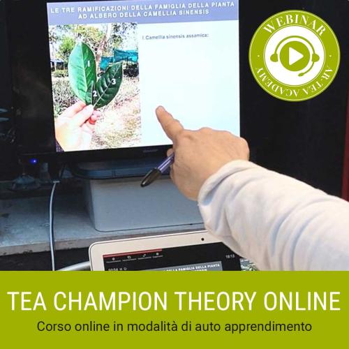 Corsi Tea Champion theory online